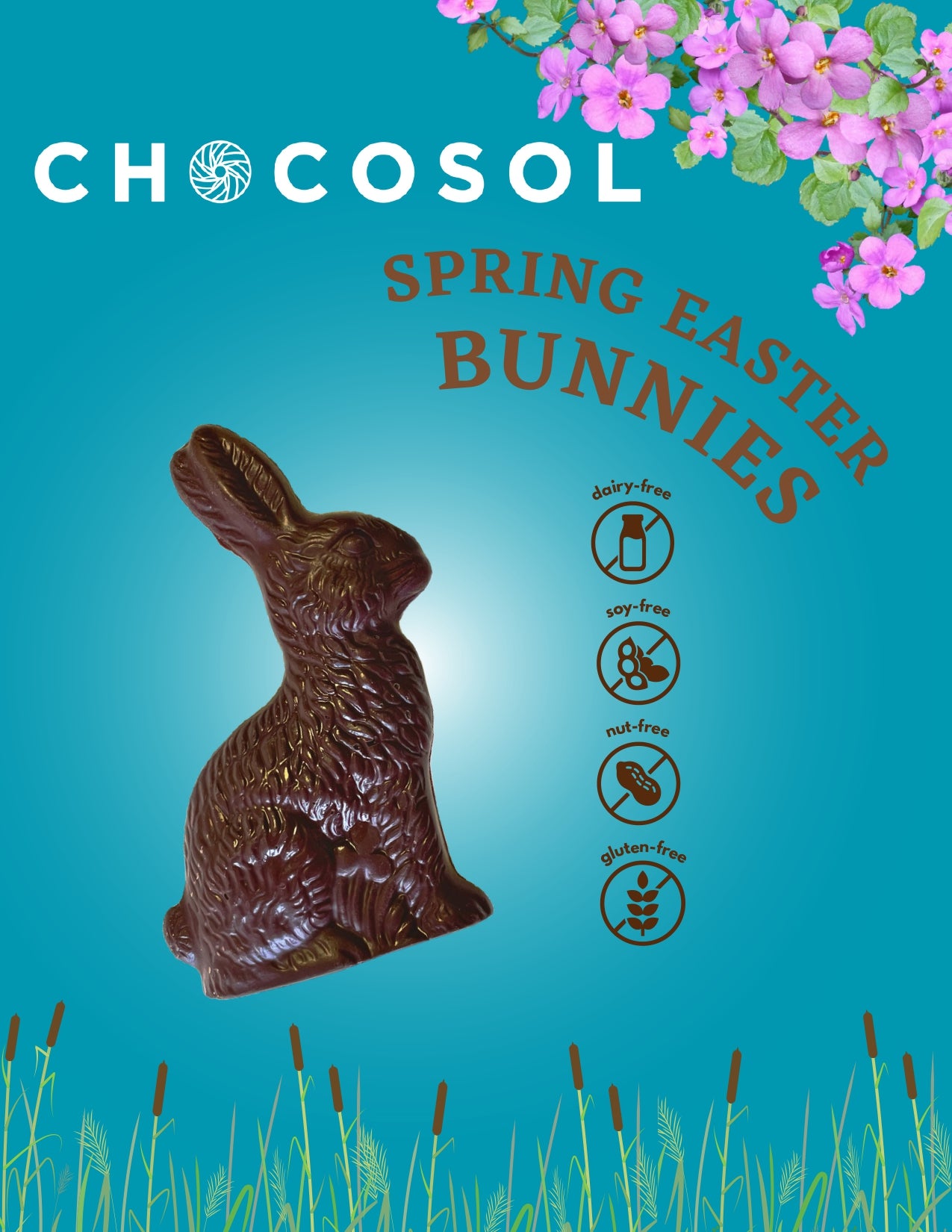 Easter Bunny | 6-Pack