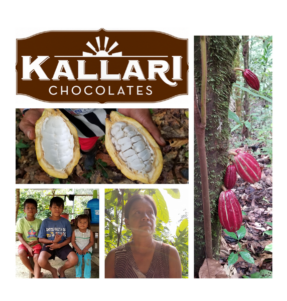 Ecuador - Kallari Cacao Beans