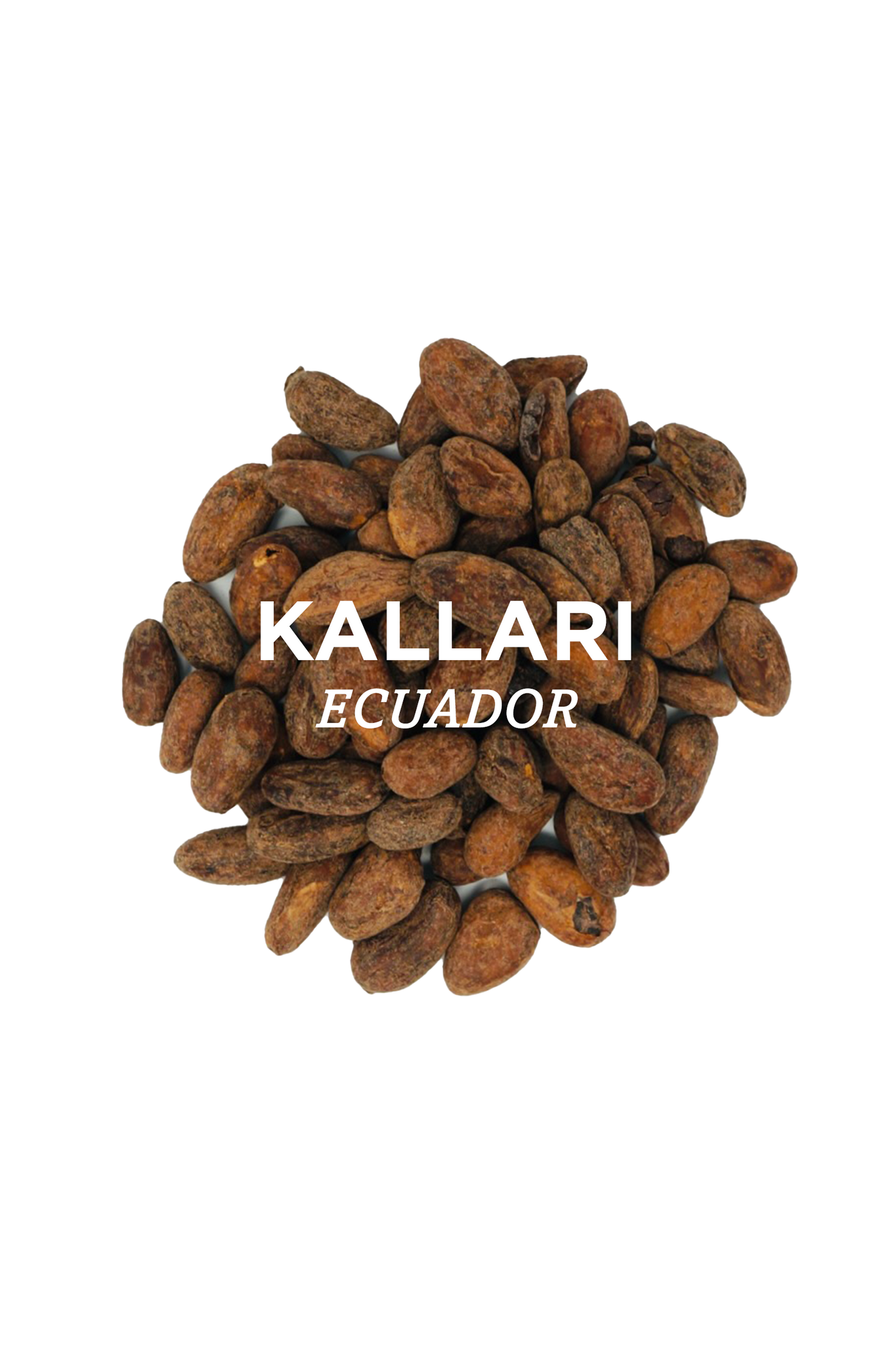 Ecuador - Kallari Cacao Beans