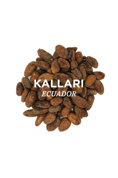 Ecuador - Kallari Cacao Beans
